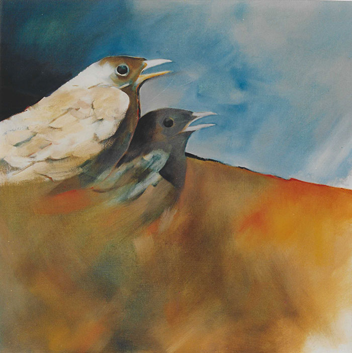Aire - Vuelo - Tierra