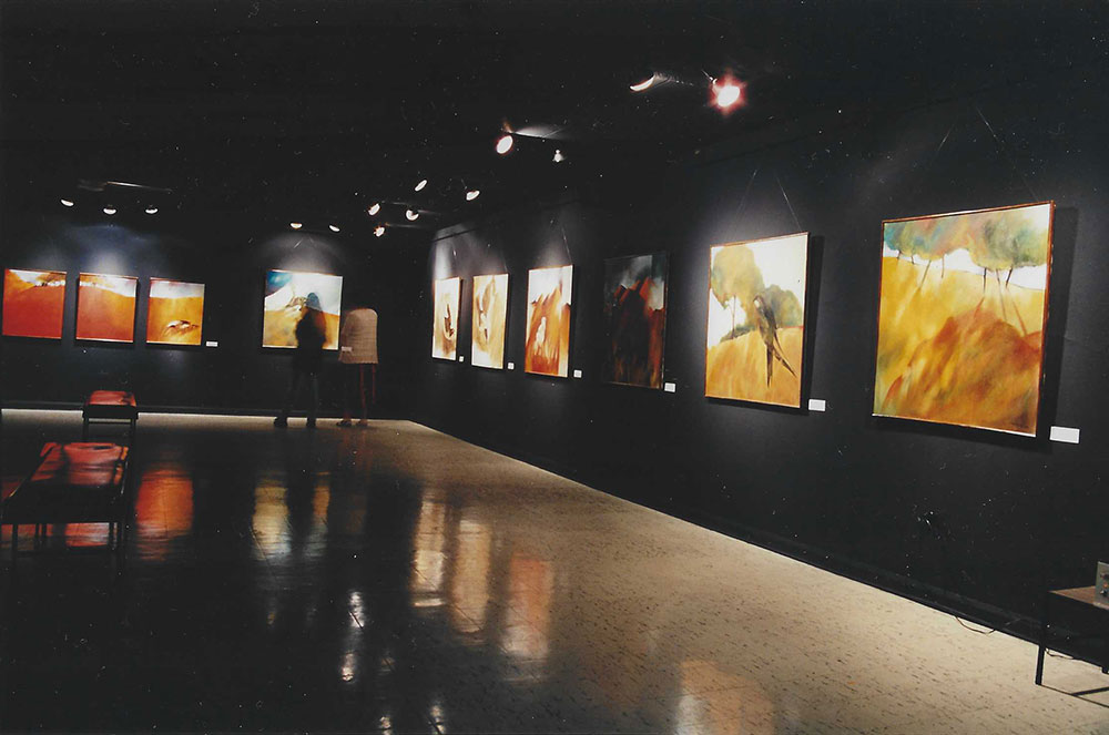 Aire - Vuelo - Tierra sala Negra